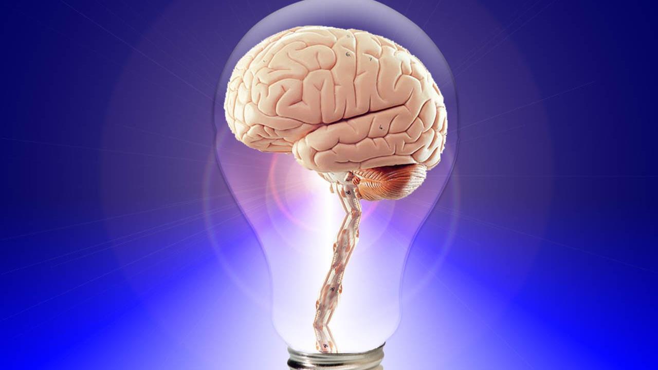 El ejercicio mental que mejora las funciones del cerebro en personas de 60 años y no son los crucigramas
